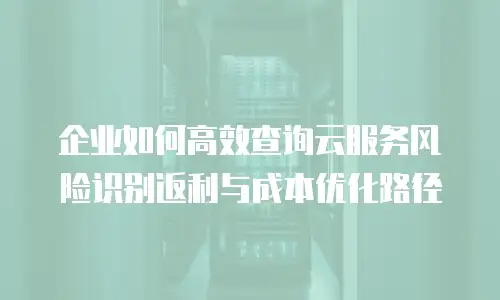 企业如何高效查询云服务风险识别返利与成本优化路径