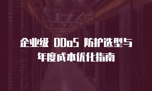 企业级 DDoS 防护选型与年度成本优化指南