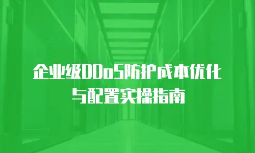 企业级DDoS防护成本优化与配置实操指南