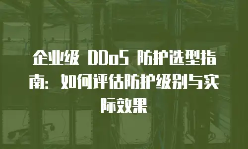 企业级 DDoS 防护选型指南：如何评估防护级别与实际效果