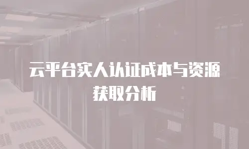 云平台实人认证成本与资源获取分析