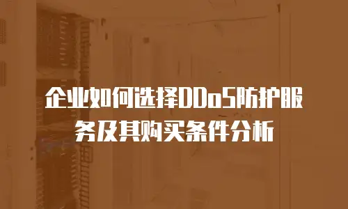 企业如何选择DDoS防护服务及其购买条件分析