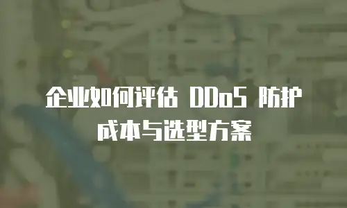 企业如何评估 DDoS 防护成本与选型方案