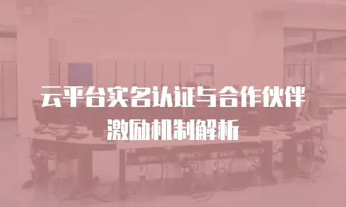 云平台实名认证与合作伙伴激励机制解析