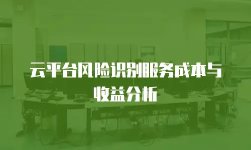 云平台风险识别服务成本与收益分析