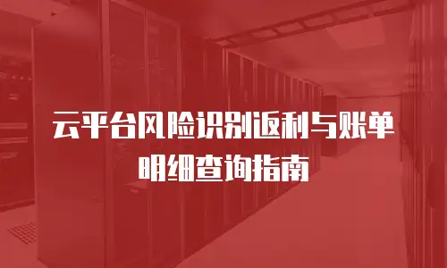 云平台风险识别返利与账单明细查询指南
