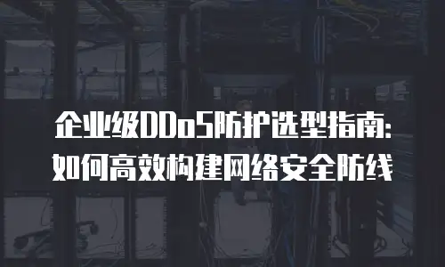 企业级DDoS防护选型指南：如何高效构建网络安全防线
