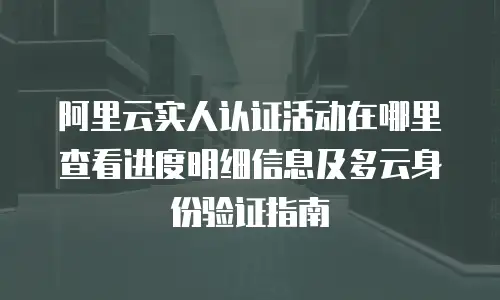 阿里云实人认证活动在哪里查看进度明细信息及多云身份验证指南