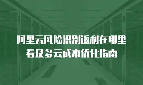 阿里云风险识别返利在哪里看及多云成本优化指南