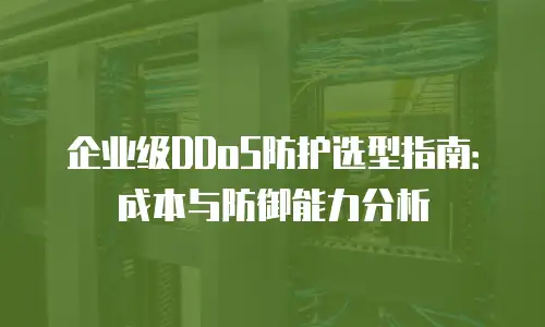 企业级DDoS防护选型指南：成本与防御能力分析