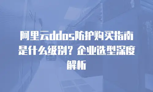 阿里云ddos防护购买指南是什么级别？企业选型深度解析