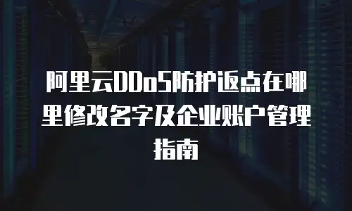 阿里云DDoS防护返点在哪里修改名字及企业账户管理指南