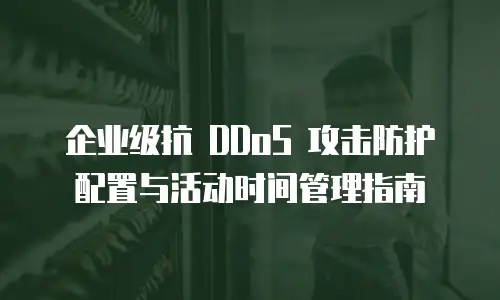 企业级抗 DDoS 攻击防护配置与活动时间管理指南