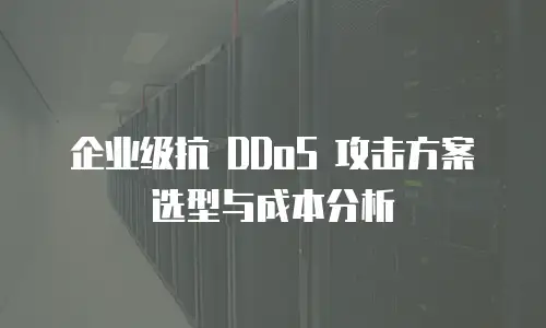 企业级抗 DDoS 攻击方案选型与成本分析