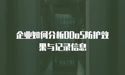 企业如何分析DDoS防护效果与记录信息