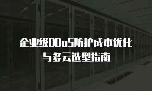 企业级DDoS防护成本优化与多云选型指南