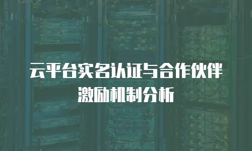 云平台实名认证与合作伙伴激励机制分析