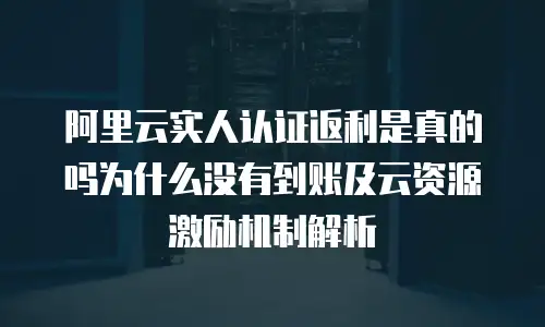 阿里云实人认证返利是真的吗为什么没有到账及云资源激励机制解析