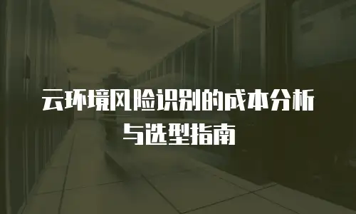 云环境风险识别的成本分析与选型指南