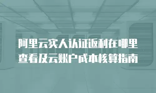 阿里云实人认证返利在哪里查看及云账户成本核算指南