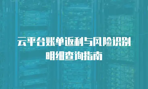 云平台账单返利与风险识别明细查询指南