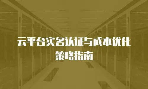 云平台实名认证与成本优化策略指南
