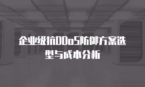 企业级抗DDoS防御方案选型与成本分析