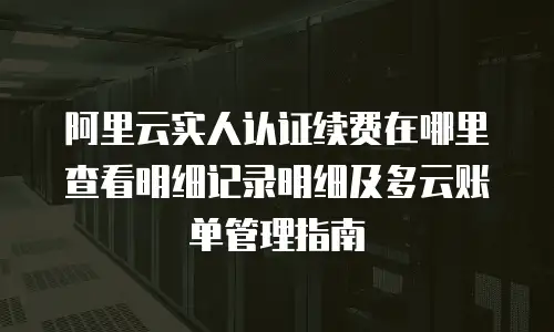 阿里云实人认证续费在哪里查看明细记录明细及多云账单管理指南