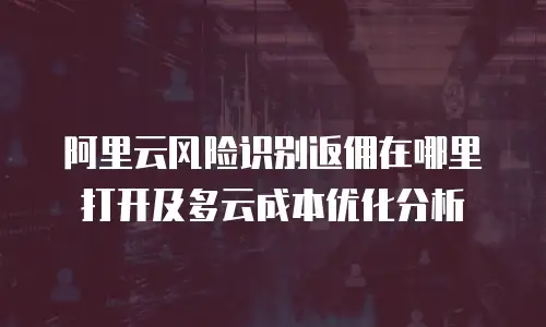 阿里云风险识别返佣在哪里打开及多云成本优化分析