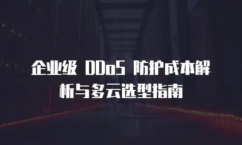 企业级 DDoS 防护成本解析与多云选型指南