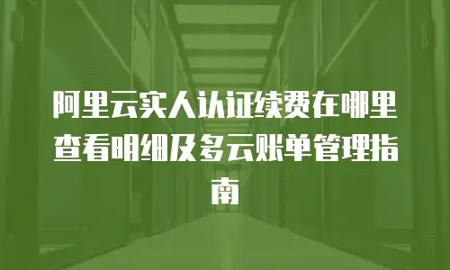 阿里云实人认证续费在哪里查看明细及多云账单管理指南