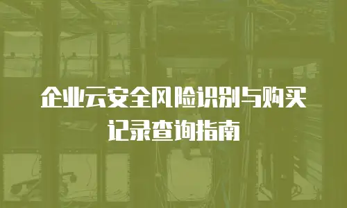 企业云安全风险识别与购买记录查询指南