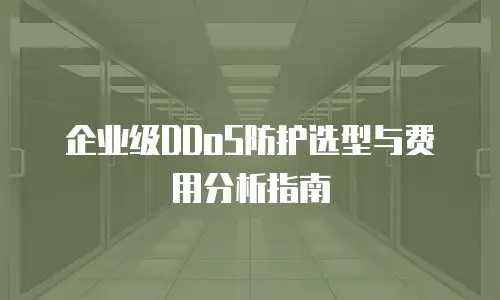 企业级DDoS防护选型与费用分析指南