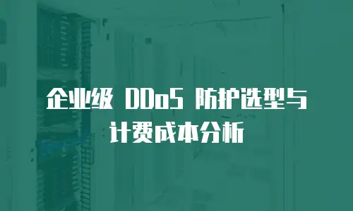 企业级 DDoS 防护选型与计费成本分析