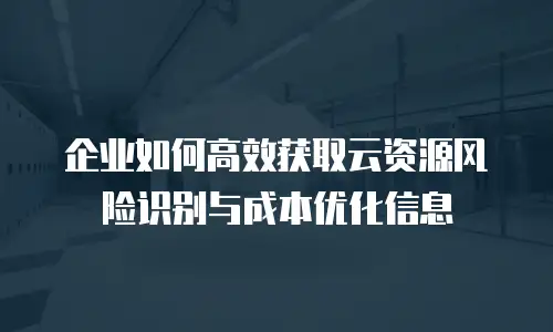 企业如何高效获取云资源风险识别与成本优化信息