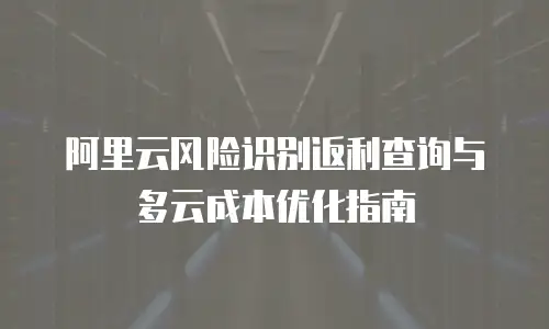 阿里云风险识别返利查询与多云成本优化指南
