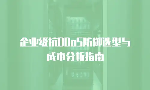 企业级抗DDoS防御选型与成本分析指南