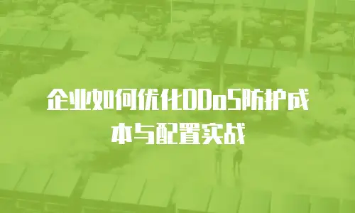 企业如何优化DDoS防护成本与配置实战