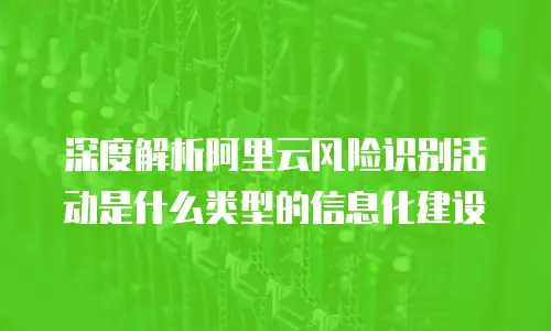 深度解析阿里云风险识别活动是什么类型的信息化建设