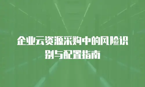 企业云资源采购中的风险识别与配置指南