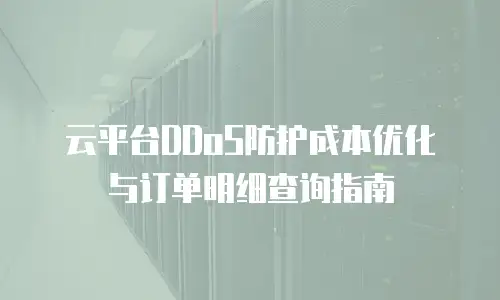 云平台DDoS防护成本优化与订单明细查询指南