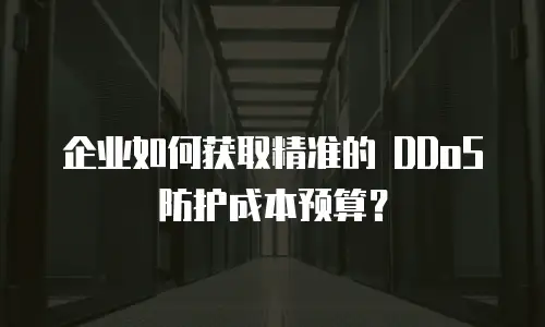 企业如何获取精准的 DDoS 防护成本预算？