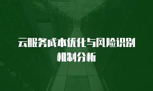 云服务成本优化与风险识别机制分析