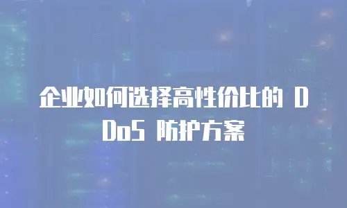 企业如何选择高性价比的 DDoS 防护方案