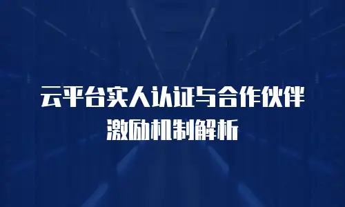 云平台实人认证与合作伙伴激励机制解析
