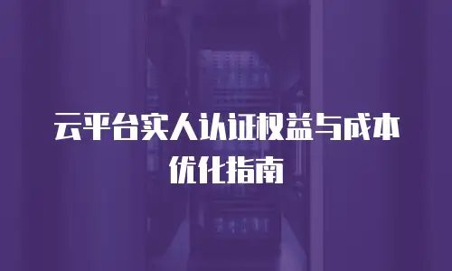 云平台实人认证权益与成本优化指南