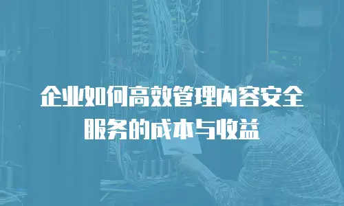 企业如何高效管理内容安全服务的成本与收益