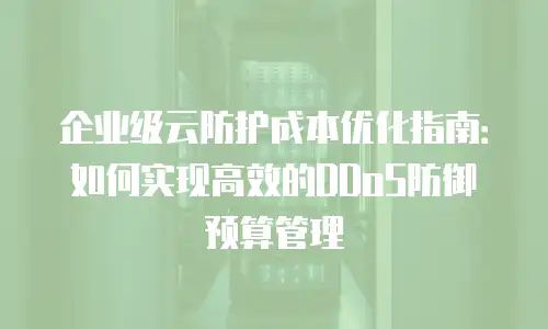 企业级云防护成本优化指南：如何实现高效的DDoS防御预算管理