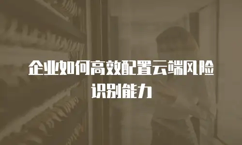 企业如何高效配置云端风险识别能力