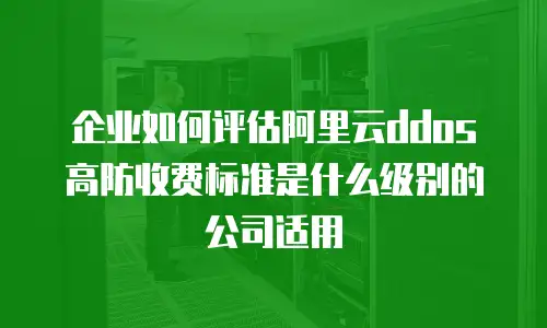 企业如何评估阿里云ddos高防收费标准是什么级别的公司适用